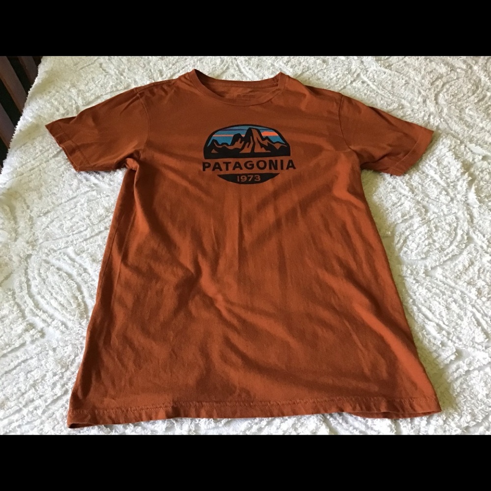 Patagonia Rust Organic Cotton Small Slim Fit Short Sleeve T-Shirt Top